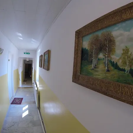 Gastehaus Leopold Penzion *